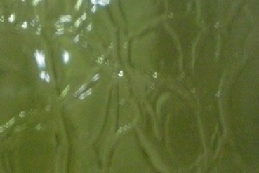 Rauchgrün, Craqueleé-Glas,
